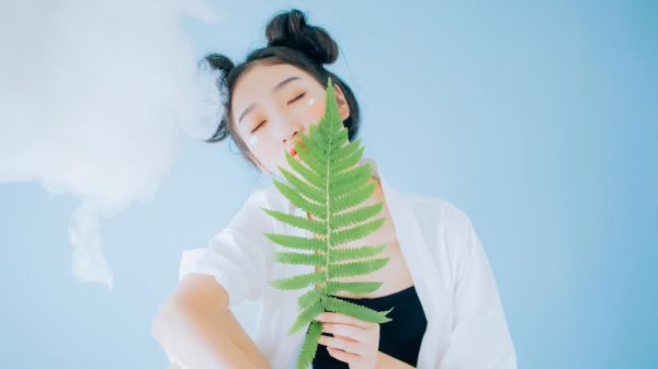 小说夏清妍裴晨辉大结局全文免费阅读,小说夏清妍裴晨辉好看吗