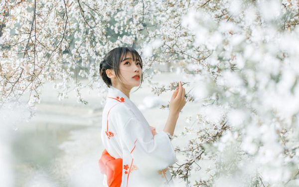 孟星河孟南曦是什么书 孟星河孟南曦免费章节在线阅读