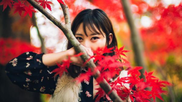 阮长歌景宸小说在哪里可以看,小说(阮长歌景宸)免费阅读