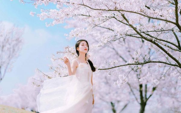 校花再会小说(江澈唐韵然)全文免费阅读无弹窗大结局,校花再会小说最新章节列表,(江澈唐韵然)