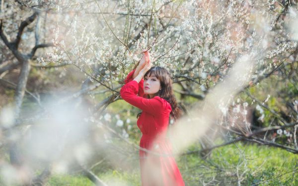 邱婖江莉莉免费阅读目录 邱婖江莉莉小说全文