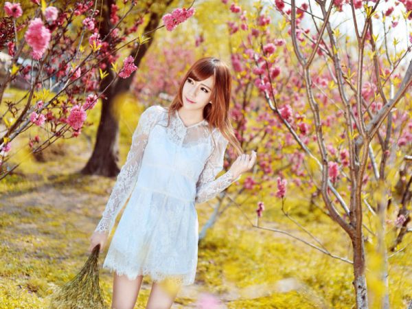 全网首发小说沈画言南全集大结局,沈画言南小说今日已更新最新章节