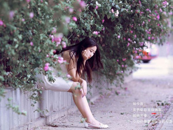 高赞热文沐灵萧夜宸阅读,沐灵萧夜宸小说全文赏析