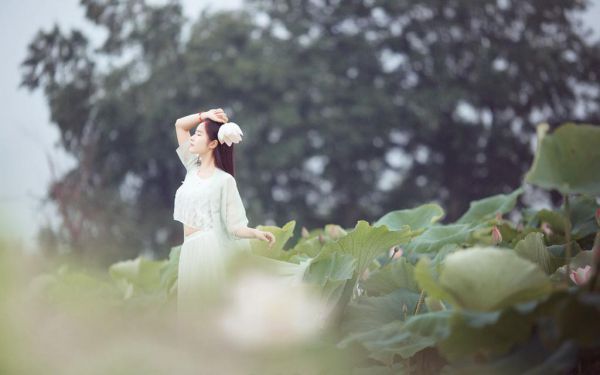 完结版小说(晏殊离乔梓兮),晏殊离乔梓兮全章节阅读
