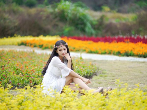 江君婉萧尧年小说(完结),江君婉萧尧年无删减阅读