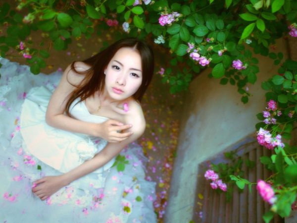 小说姜雨商韩宇最后结局如何,姜雨商韩宇小说阅读