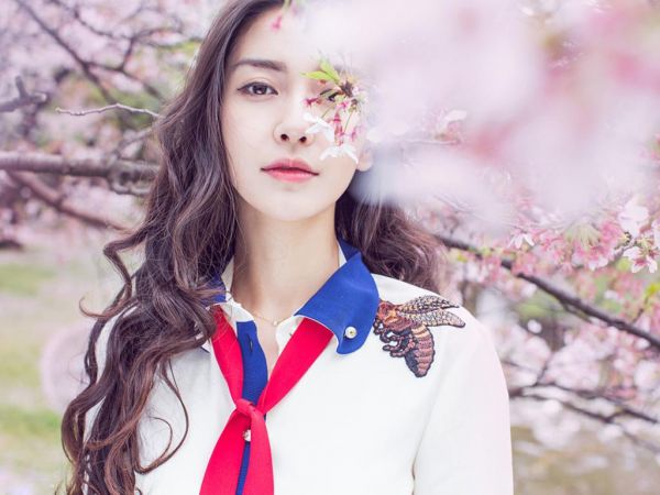 书名是秦浅沫贺禹辰讲的什么,秦浅沫贺禹辰小说今日已更新最新章节