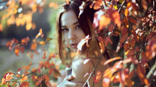 耽美微小说沈洛嘉司琛,最火热点小说沈洛嘉司琛最新更新