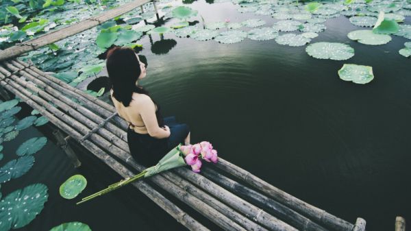 金钗错免费全文裴婉霍砚小说最新章节(在线阅读)