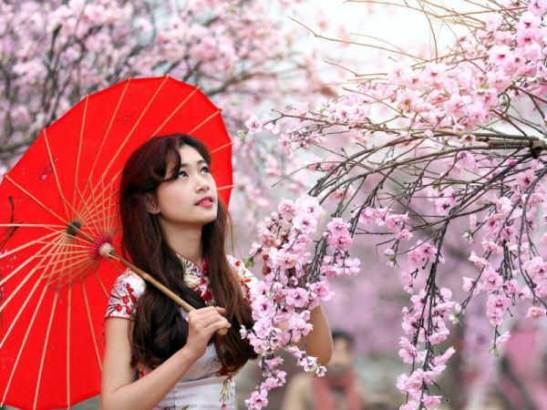 知乎小说凤小梨贺琛,新书热荐免费小说凤小梨贺琛