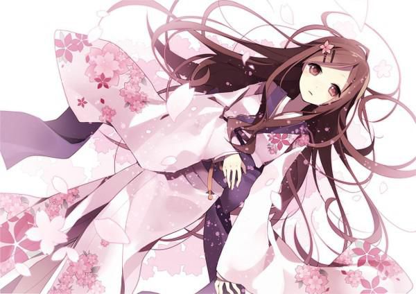 抖音见囍贺衿简衡小说阅读完结版,小说见囍全文免费阅读