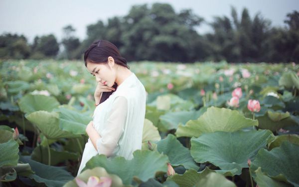 岑声周时慕全章节阅读,岑声周时慕全文免费阅读