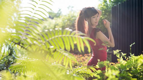 桑语也陆淮州(最新全章节大结局)全文阅读