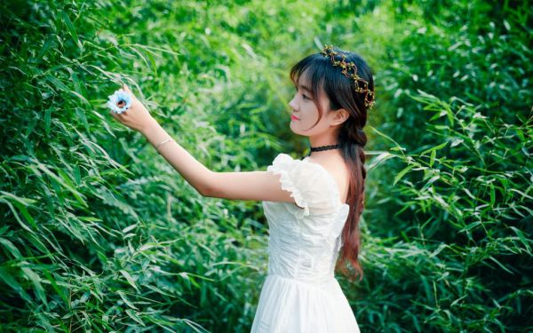 抖音强推小说江松南衣兮月(江松南衣兮月)全文无弹窗阅读