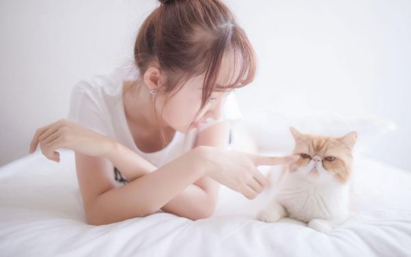 小说主角是季心卓韩宇年叫小说叫什么名字,季心卓韩宇年小说完整版免费阅读
