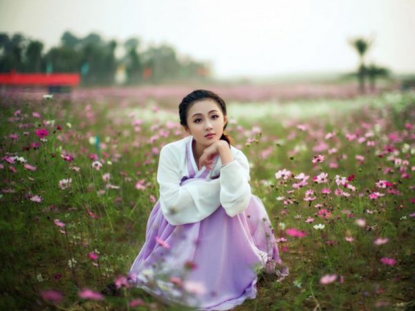 沈清玥陆承泽免费阅读第3章 沈清玥陆承泽大结局