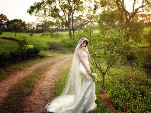 小说苏默烟姜见深免费全文,苏默烟姜见深沙雕女主文阅读