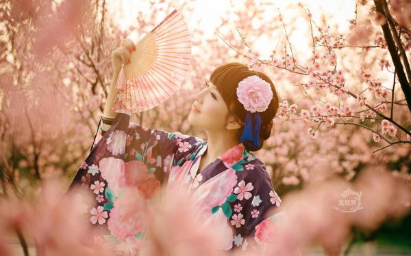 陈彩霞陈橙小说(嘴碎日记)全文免费阅读大结局,(嘴碎日记)好书推荐