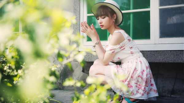 2023年新书陆景骁沈颜一曲相思君知否免费阅读,陆景骁沈颜一曲相思君知否免费观看