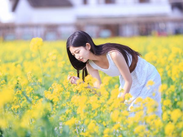 丧彪阿猫丧彪无广告小说免费在线阅读