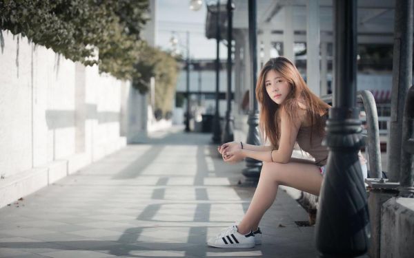 全网首发小说薄司晏黎安安,最新小说薄司晏黎安安全文阅读