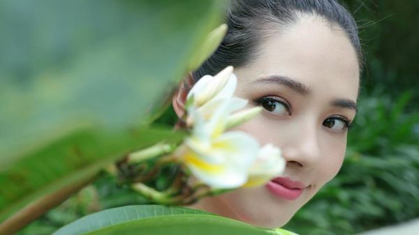 陆奕枫夏月疏全文最新章节正版小说免费阅读