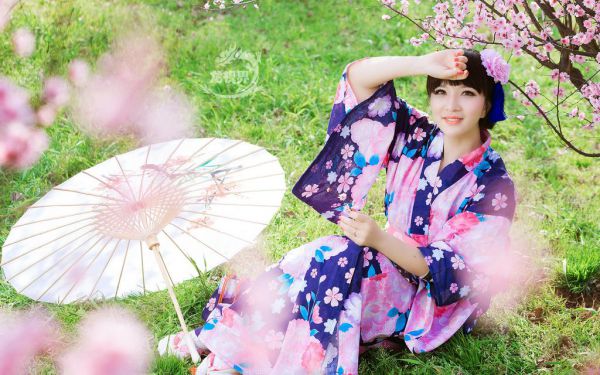 对不起本宫只想当太后(凌欢秦封)小说全文免费阅读无弹窗,(对不起本宫只想当太后)小说全文免费阅读最新章节(凌欢秦封)