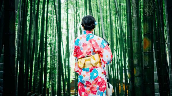 书荒推荐(江柠霍景延),江柠霍景延抖音小说全文最新试读
