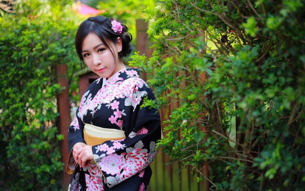 孟溪陆昭顾深林棠免费小说 孟溪陆昭顾深林棠在线阅读