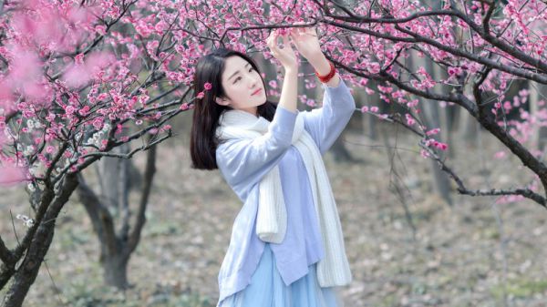 云笙扶烨小说第30章第3节讲述的是什么？云笙扶烨小说阅读
