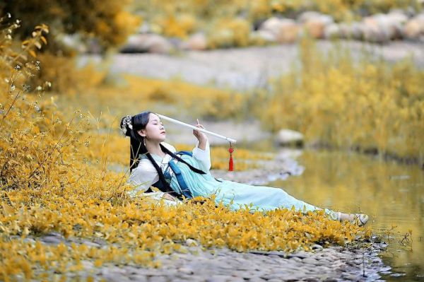 冷王的天才小医妃全章节小说慕梓灵,龙孝羽完结版阅读