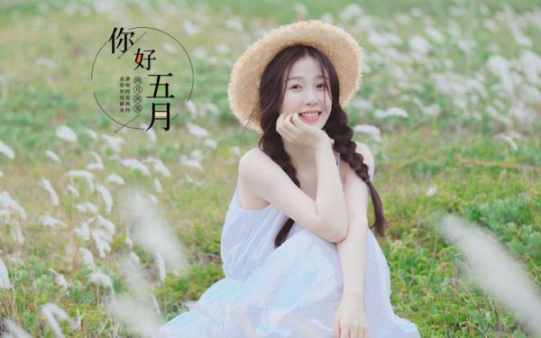 小说苏半夕秦越无弹窗免费阅读,高质量小说苏半夕秦越推荐阅读