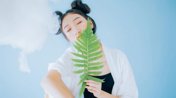 吾心归不归云汐凌霄完结版全章节阅读