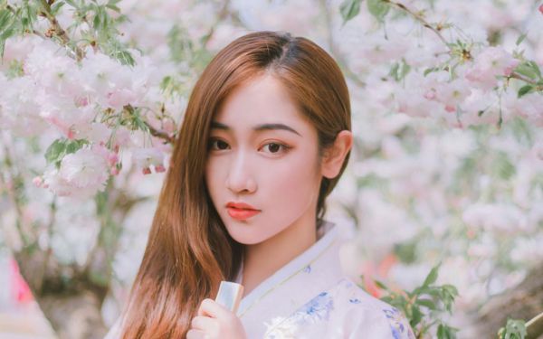 林尘小说港岛霸主在哪里可以看,主角是林尘的小说港岛霸主
