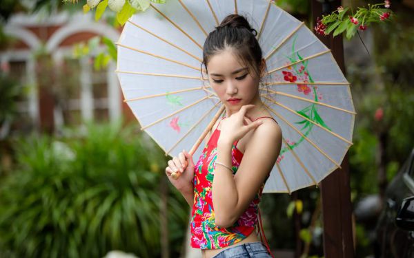 最火言情小说沈知秋谢晚凝小说无弹窗大结局,小说沈知秋谢晚凝(沈知秋谢晚凝小说)最新章节阅读