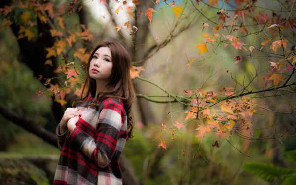 林西珞江卓南(林西珞江卓南)完整版大结局,林西珞江卓南是什么书林西珞江卓南小说免费阅读