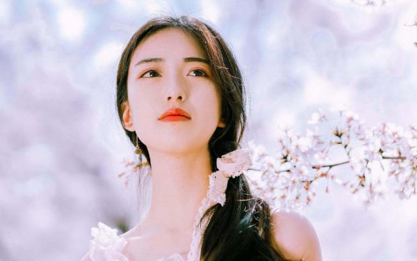 小说叶舟舟纪昀主角叫什么,叶舟舟纪昀阅读的小说完整版