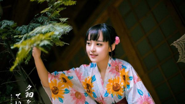 陆青菀沈赞的小说完整版,(陆青菀沈赞)免费阅读结局