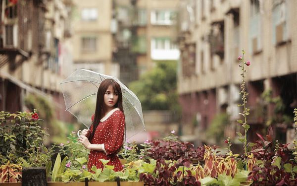 宋时念(闪婚后,傲娇大佬他自我攻略了小说)最新章节,宋时念(闪婚后,傲娇大佬他自我攻略了)全文免费阅读无弹窗大结局