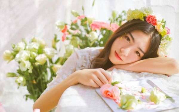 穿成老妇后，我成了家里的顶梁柱免费阅读秦音苧林向宗小说第19章