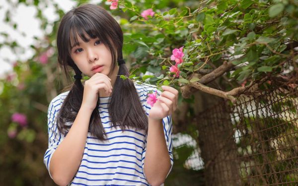 知乎小说夏薇淑江书哲,小说夏薇淑江书哲精选片段阅读