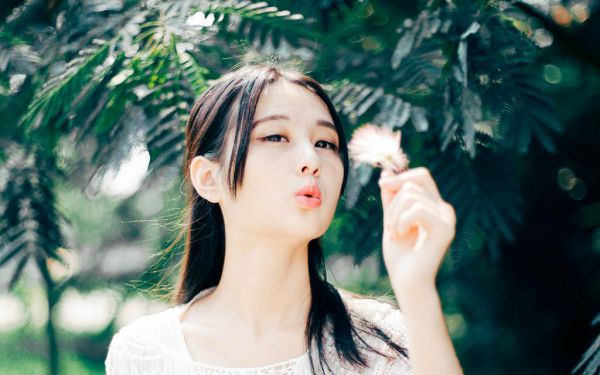 云歌瑶贺墨翎小说免费阅读,云歌瑶贺墨翎小说哪里能看