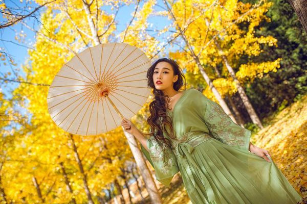 主角是繁花落尽暮白首的小说顾珩迟锦初,2023年精选热门小说顾珩迟锦初(繁花落尽暮白首)
