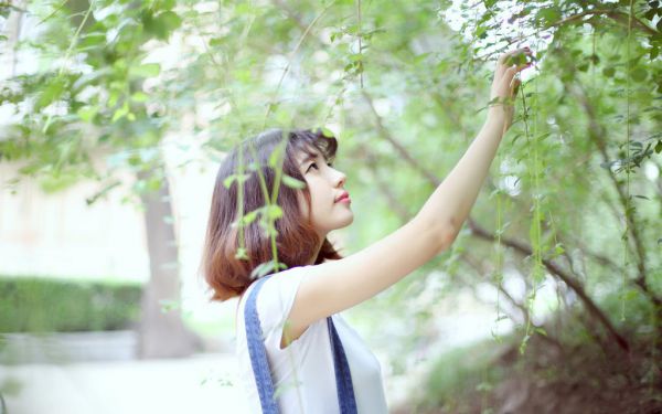 奔赴来电阅读的小说夏秋宁叶辰完整版,抖音新书热荐夏秋宁叶辰奔赴来电