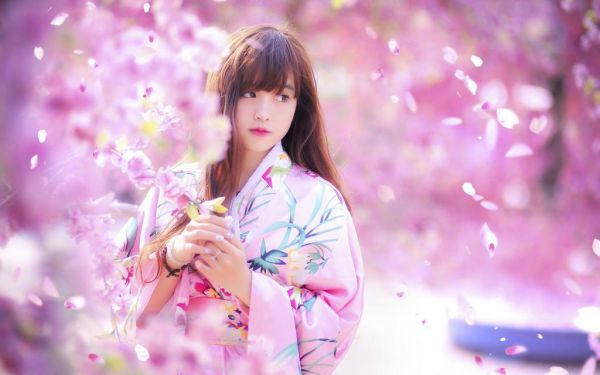 曲妧梦裴湛白小说在哪里可以看,高甜言情小说曲妧梦裴湛白免费阅读无弹窗