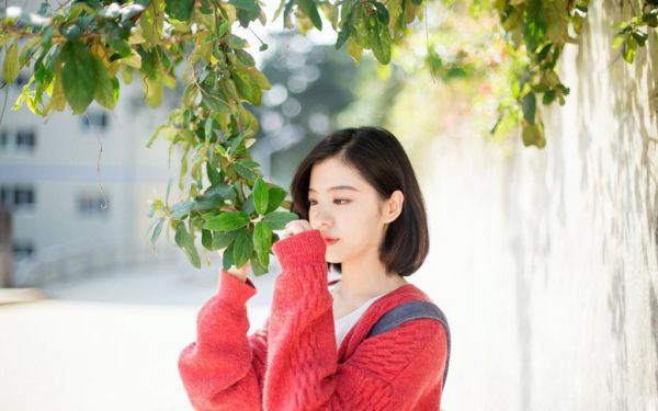 小说重回过去当富豪谢晓峰苏雪儿完结版全文免费阅读