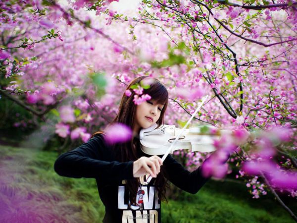 精彩小说离婚后,豪门前夫跪求我复婚(白晚晚秦宴),(离婚后,豪门前夫跪求我复婚)白晚晚秦宴最新章节阅读