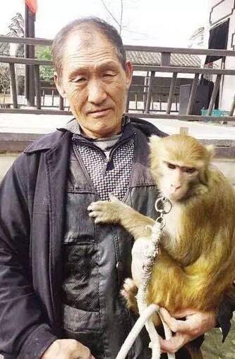 6只猴和王宝强拍戏 一个月挣15万