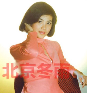 天后王菲16岁清纯旧照曝光（组图）