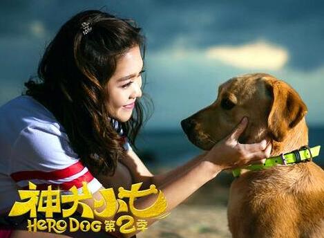 神犬小七第二季大结局 小七没死帮助鲍宇欧叶收获爱情